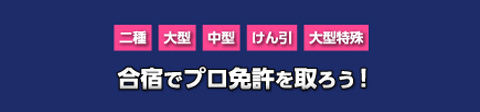 合宿でプロ免許を取ろう